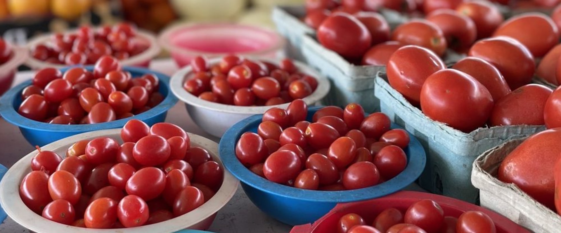 The Vibrant Atmosphere of Public Markets in Duval County, Florida
