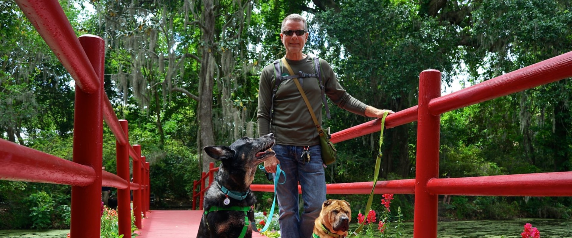 Discovering Pet-Friendly Public Markets in Duval County, Florida