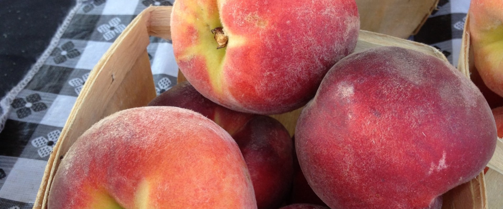 Exploring the Vibrant Public Markets of Duval County, Florida