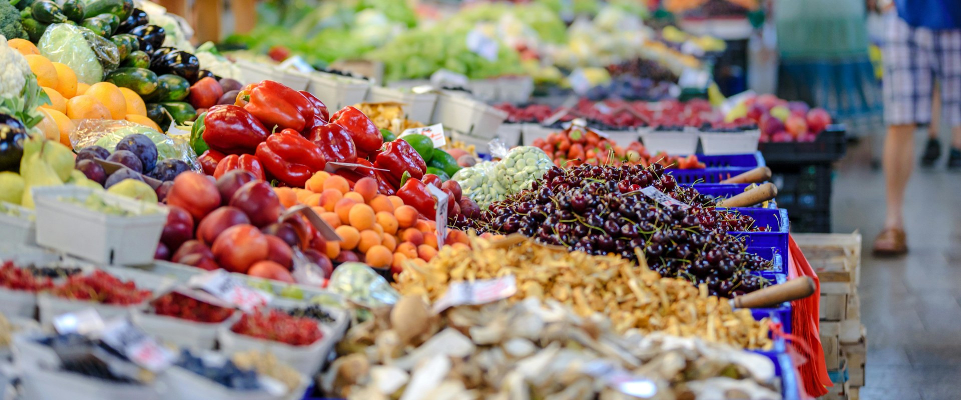 The Sustainable and Local Experience at Public Markets in Duval County, Florida