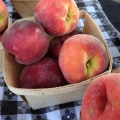 The Vibrant World of Public Markets in Duval County, Florida