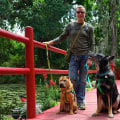 Discovering Pet-Friendly Public Markets in Duval County, Florida