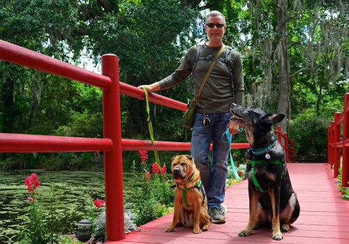 Discovering Pet-Friendly Public Markets in Duval County, Florida