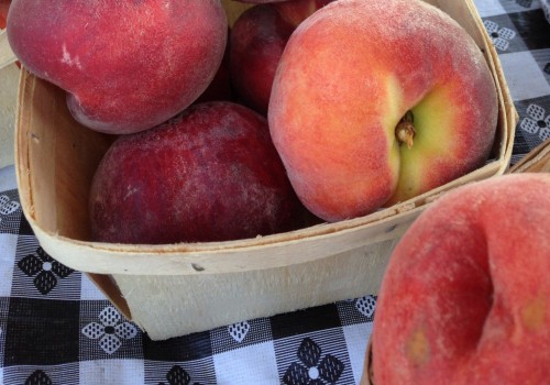 Exploring the Vibrant Public Markets of Duval County, Florida